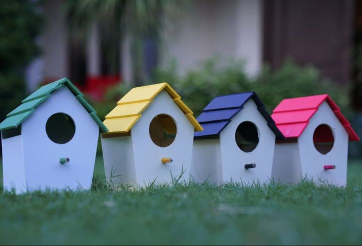 Premium Bird House for Finches, Java & Sparrows – Outdoor Nest Box in 4 Elegant Colors (pack of 2 piece)