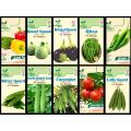 Pack of 10 F1 Hybrid Summer Vegetables seeds. 