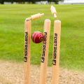 Spring Back Cricket Stumps - 28in ICC Regulation Stumps for Cricket | Club & Pro Styles | Spring Back Wickets & Bails | Freestanding Cricket Set for Seniors. 
