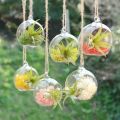 Techmanistan 1 Piece Transparent Ball Globe Shape Clear Hanging Glass Vase Flower Plants Terrarium Container DIY Wedding Home Decor Indoor Outdoor. 