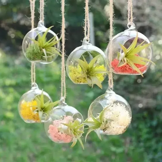 Techmanistan%201%20Piece%20Transparent%20Ball%20Globe%20Shape%20Clear%20Hanging%20Glass%20Vase%20Flower%20Plants%20Terrarium%20Container%20DIY%20Wedding%20Home%20Decor%20Indoor%20Outdoor%20-%20Image%202