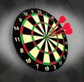Pro Level Play Professional Dart Boards for Adults with Steel Tip Darts Tournament Quality. 