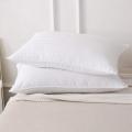 Pack of 2 - Organic Silk Cotton Pillow. 