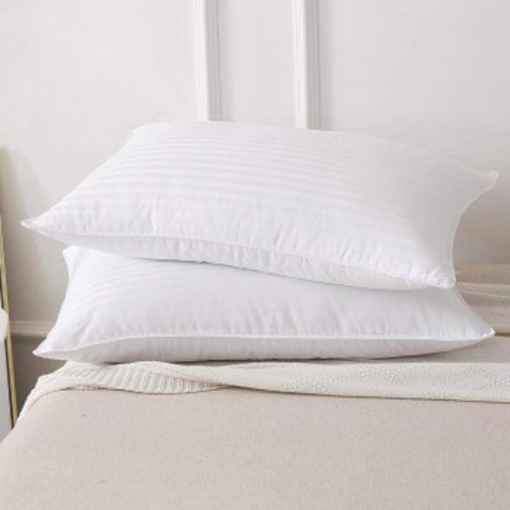 Pack of 2 - Organic Silk Cotton Pillow