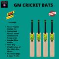 2023 Latest Edition GM Cricket Bats | 2023 Edition GM Brand Cricket Bat | 2023 Latest Edition GM Cricket Bat for Beginner Cricketers. 
