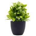Pack of 3 Small Flower Pots for Cactus and Artificial Plants - White. 