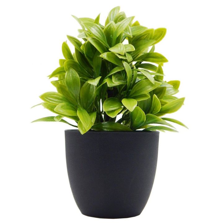 Pack of 3 Small Flower Pots for Cactus and Artificial Plants - White