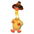 DANCING DUCK (TALKING). 