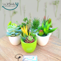 Wishly Small Succulent Artificial Plants in Pots Set of 2 Pcs, Assorted Mini Faux Aesthetic Cactus potted Succulents arrangements for Home, Office, Bedroom, Washroom & Living Room, Outdoor & Indoor Decor.. 