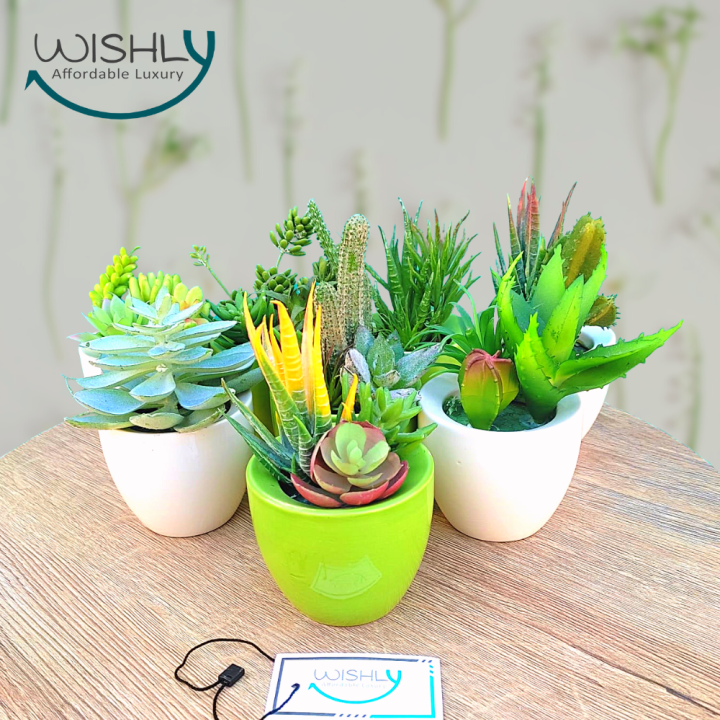 Wishly%20Small%20Succulent%20Artificial%20Plants%20in%20Pots%20Set%20of%202%20Pcs,%20Assorted%20Mini%20Faux%20Aesthetic%20Cactus%20potted%20Succulents%20arrangements%20for%20Home,%20Office,%20Bedroom,%20Washroom%20&%20Living%20Room,%20Outdoor%20&%20Indoor%20Decor.%20-%20Image%202