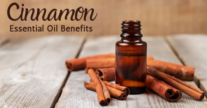 Cinnamon%20Aromatherapy%20Essential%20Oil%20%E2%80%93%20Pakistan%20Pansar%20Cinnamon%20Essential%20Oil%20100%25%20Pure%20&%20Natural%20%E2%80%93%20Undiluted%20-%20Image%203