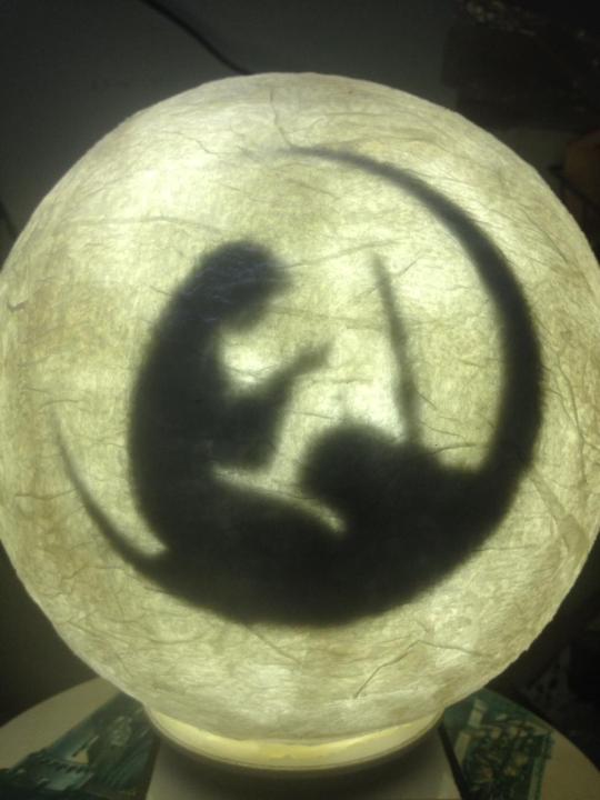 Tablepot%20Lamp%20Pray%20Lamp%20-%20Image%202