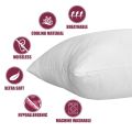 White Pillow (Pack of 2) High Quality filled with imported Ball Fiber Polyster. 