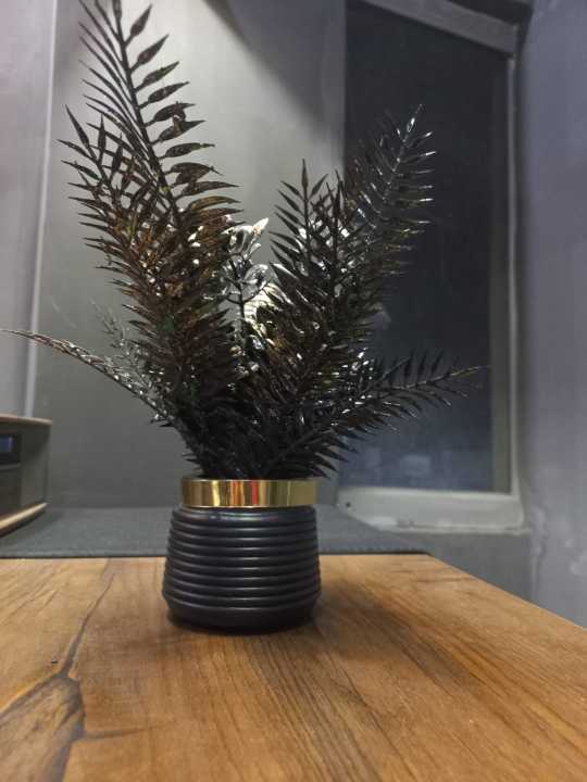 Black%20Pot%20With%20Black%20Flower%20Black%20Beauty%20for%20Special%20Occasion%20Decoration,%20Home,%20Office,%20Festival%20Theme%20Decoration%20-%20Image%203