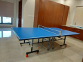 Premium Quality International Standard Foldable Table Tennis Table Standard Size 9'x5' with Locking Wheels, Net and Balls. 