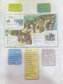 Macmillan English Fluency Book 3. 