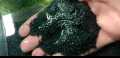 Aquarium Black Sand Decoration. 