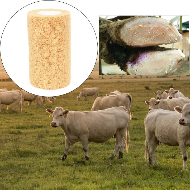 Vet%20Tape%20Gauze%20Rolls%20Elastic%20Cohesive%20Bandage%20for%20Pet%20Dogs%20Sheep%20Birds%20Tape%20-%20Image%204