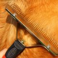 Royal Pet Comb Extra-Large Rake Comb Grooming Brush Deshedding Tool Beauty Comb for Large Dogs Golden Retriever Husky German Shepherd. 