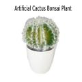 Artificial Cactus Bonsai Plants in White Planter elegant home decor. 