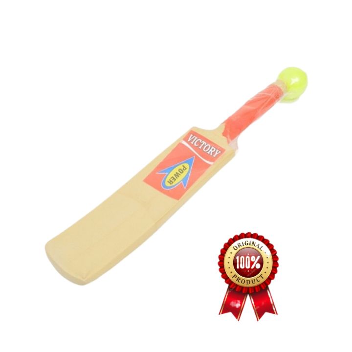 CRICKET BAT FOR KIDS UNBREAKABLE FIBER PLASTIC (SMART TOYS Set) Daraz.pk
