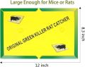 Pack of 6 - Mouse & Rat Bond Traps - Expert Catch Mouse & Rat - Rat Glue Pad - Mouse Catcher Glue | Mouse Glue - Mouse Catcher Book - Mouse Catcher Glue - Mouse Trap Book. 