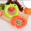 Apple Slicer Corer Cutter - 1 Piece - ZT. 