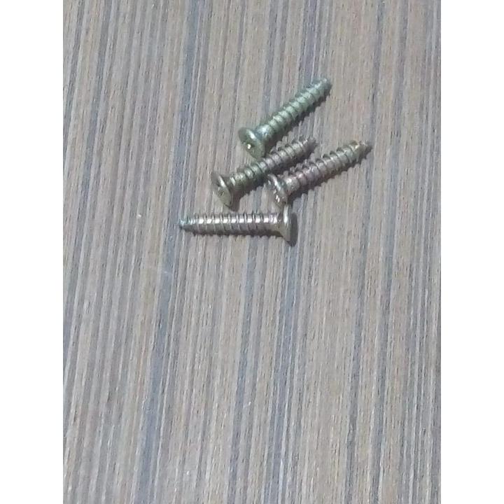 50 pcs Gelonized Plated Screw SIZE 2cm 50 Screws in a Packet