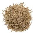 Zeera Safaid 100gm/White Cumin Seeds/Jeera India. 