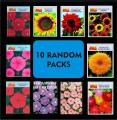 Pack of 10 Packets  All different Spring Summer Season Flower Seeds. 