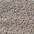 Un Hulled White Proso Millet, Cheena, چینڑاں، For Weight watchers, Slimmers, Diabetic food, food for Heart Patients.. 