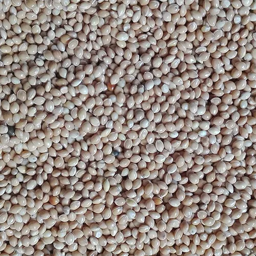 Un%20Hulled%20White%20Proso%20Millet,%20Cheena,%20%DA%86%DB%8C%D9%86%DA%91%D8%A7%DA%BA%D8%8C%20For%20Weight%20watchers,%20Slimmers,%20Diabetic%20food,%20food%20for%20Heart%20Patients.%20-%20Image%203