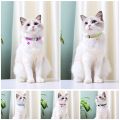 New Custom Cat Collar Reflective Kitten Puppy Collars With Bell Personalized Pet Cats Collar Necklace Accessories 19Cm To 30Cm. 