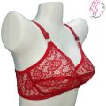 Seamless Net Bra For Women Transparent Bra , Jaali Braziers. 