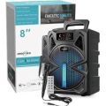 Rechargeable Speaker with Microphone , FM radio, microphone input, AUX input, USB inpu Model GTS1300. 