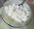 Active milk kefir grains. 