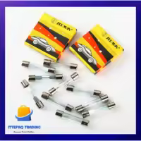 10 Pcs Glass Tube Fuses 6x30mm - 5 Pcs 10A + 5 Pcs 15A