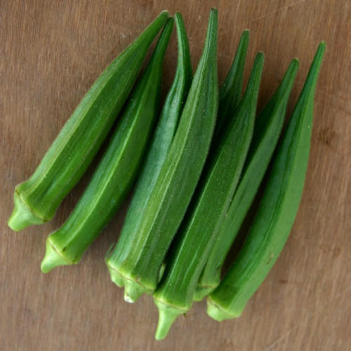 50+ Okra Lady Finger (Bhindi) Kitchen Gardening Vegetable Seeds