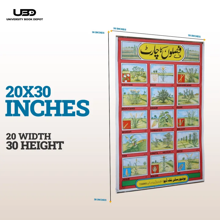 Pack%20of%2010%20HD%20Classroom%20Wall%20Charts,%20Laminated,%2020x30%20Inches,%20Educational%20Posters%20for%20School%20Decor%20-%20Image%202