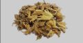 Salab Panja / 10g. 