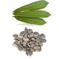 Kali Tori Seeds, کالی توری کے بیج. 