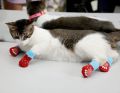 Dog Winter Shoes Anti-Slip Knit Socks Small Pet Cat Shoes Thick Warm Paw Protector Dog Socks. 