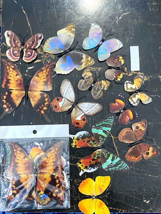 New%20High%20Quality%20Imported%2012pcs/Packet%20Colorful%20Butterfly%20Wall%20stickers%20Fridge%20Magnets%203D%20Butterfly%20Decals%20Design%20Art%20Stickers%20Room%20Magnetic%20Home%20Decor%20DIY%20Wall%20Decoration%20-%20Image%208