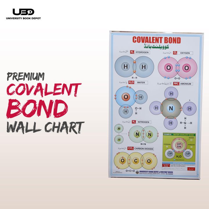 Covalent Bond Presentation on Wall Charts | Chemistry Wall Chart for School and College Decoration on 200 grams Laminated Card 23*36