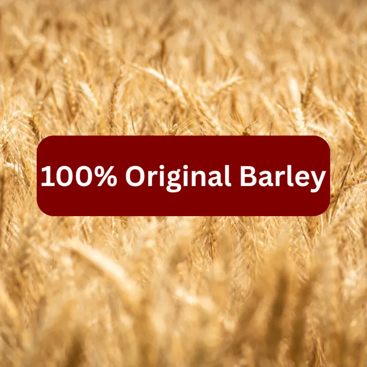 Premium%20Barley%20Flour%20(Jau%20Ka%20Atta)%20%20%E2%80%93%20Available%20in%201kg,%203kg%20&%205kg%20Packs%E2%80%93%20Gluten-Free%20Flour%20for%20Weight%20Loss%20&%20Healthy%20Skin%20%7C%20Barley%20Oats%20for%20Weight%20Loss%20%7C%20Barley%20Atta%20for%20Face%20&%20Cooking%20%7C%20100%25%20Natural%20Gluten-Free%20Aata%20-%20Image%203