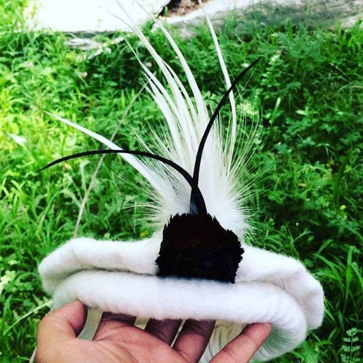 Hunza Traditional Cap for Men White with Plume Feather | Hunza Cap