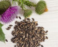 Milk Thistle Seeds (Oont Katara) 100gm. 