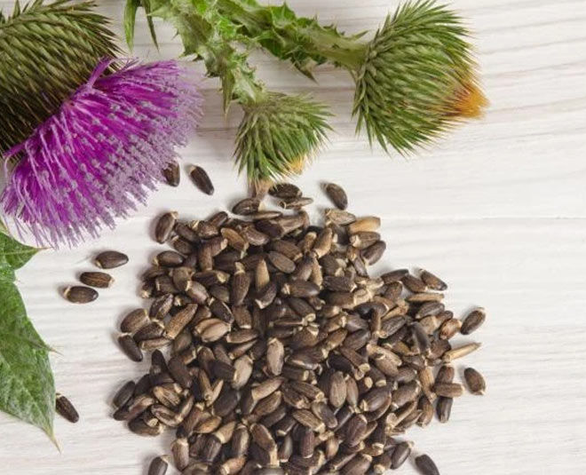 Milk Thistle Seeds (Oont Katara) 100gm