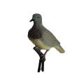 Pigeon Decoy Pair. 
