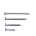 pack of 30 - 2 Inch Hardened Steel Concrete Nails for Wall - Silver. 